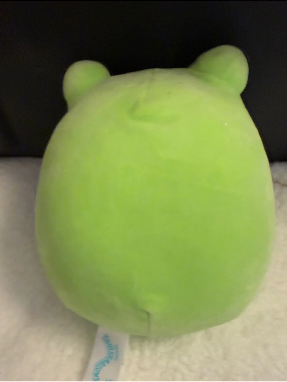 Green Frog Plush Pet Toy - Soft Cute Frog Plushie